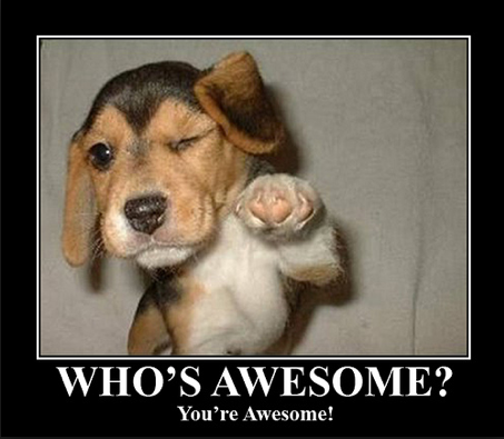 who's awesome