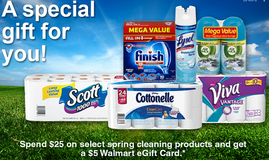 Cleaning Supplies Gift Card Deal