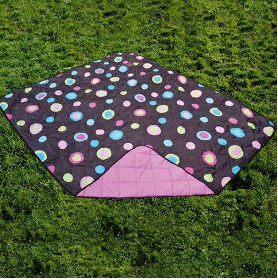 reversible blanket