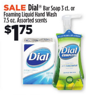 Dial Hand Soap DG