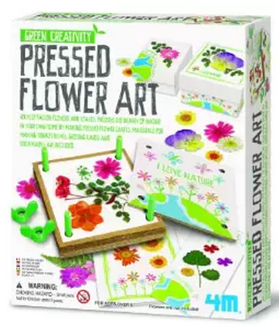 pressed flower art