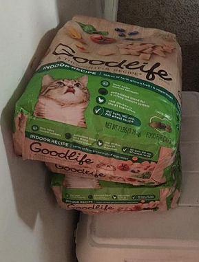 Walmart Clearance Cat Food