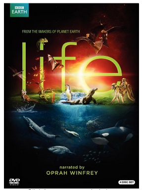 life series on dvd