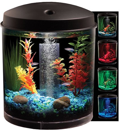 fish tank